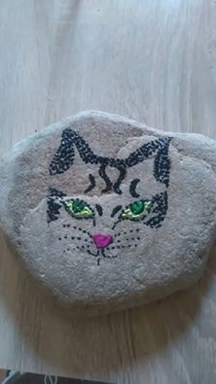 chat pierreché, œuvre de isabelle detroyes