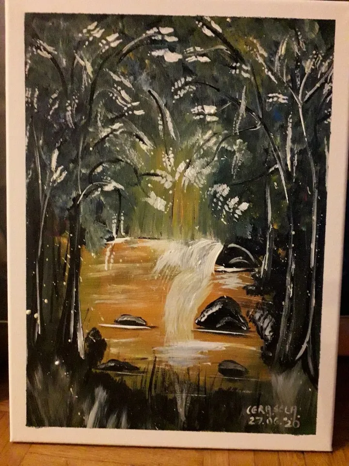Somewhere in Virginia USA, œuvre de Cerasela Ciobanu