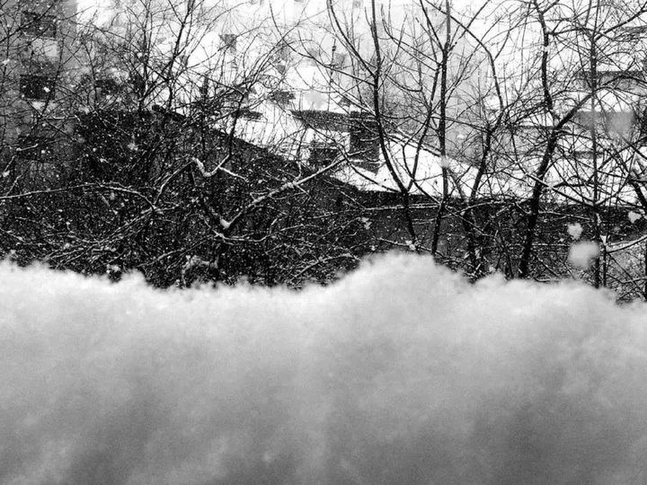 Snowed, artwork by Zazulete Anuca Romanta Ion