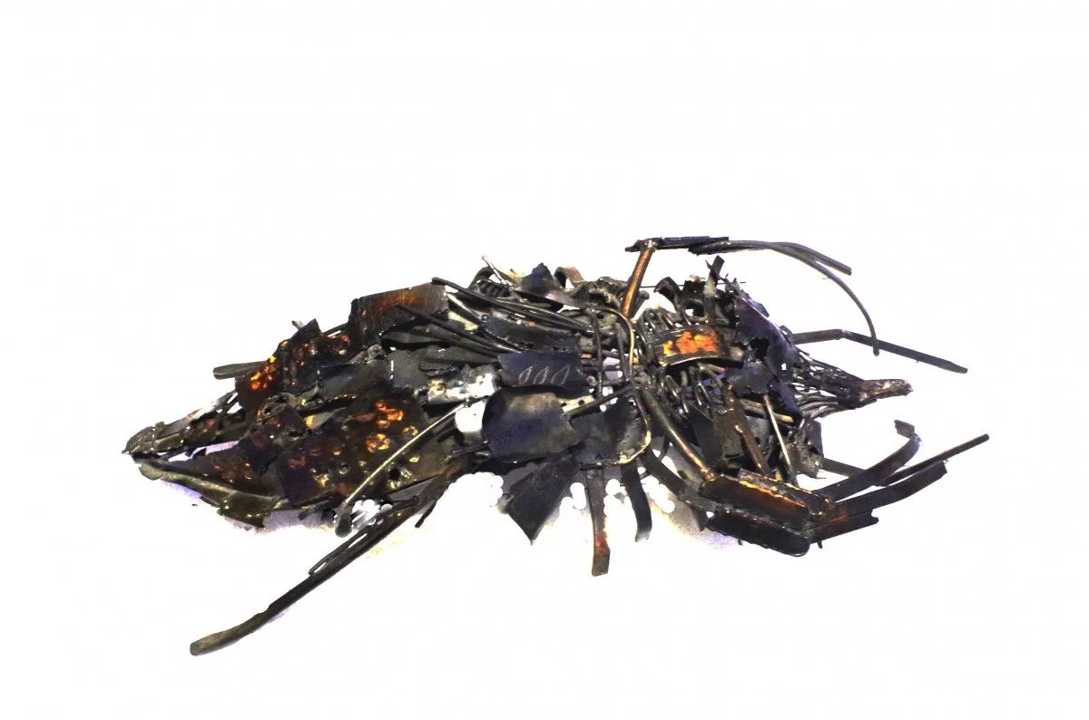 cucaracha, œuvre de Ramses Alvarez