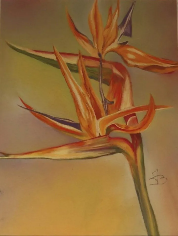 Oiseau de Paradis, la Fleur, œuvre de joelle BROUILLARD