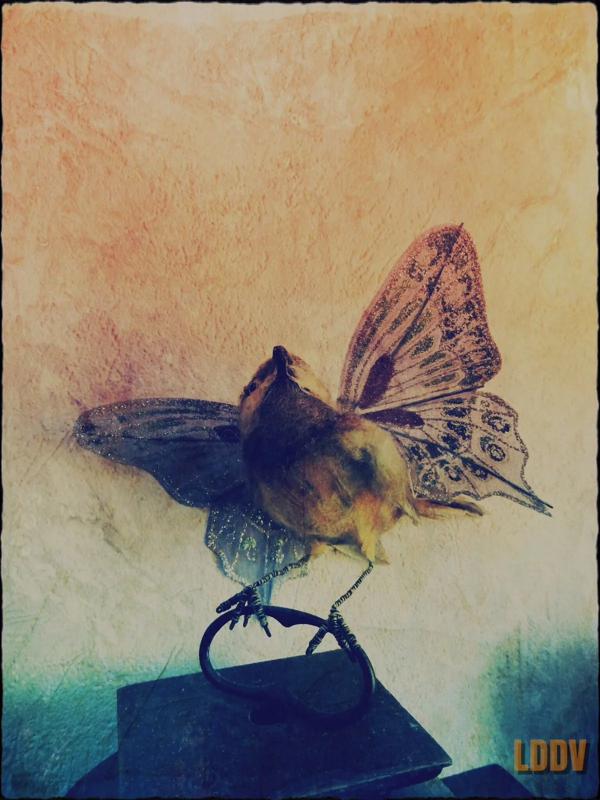 ButterBird, artwork by Le Dormeur Du Vol