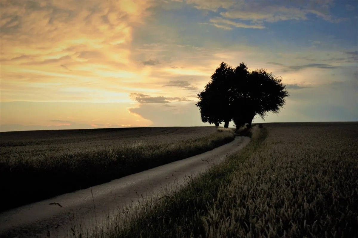 Un chemin vers la lumuère, artwork by Julien Nalia