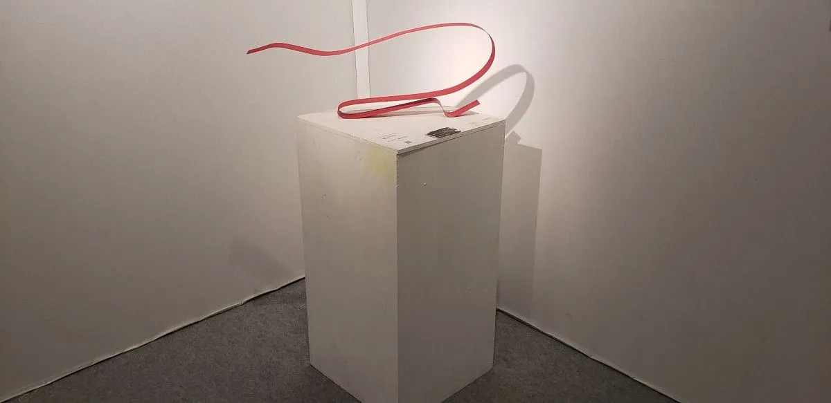 Souplesse, œuvre de Renato Moraes