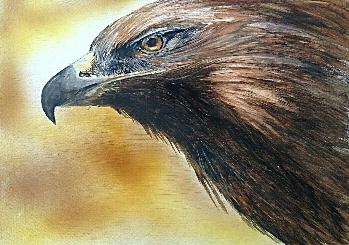 Eagle Eye, œuvre de Marion Hughes
