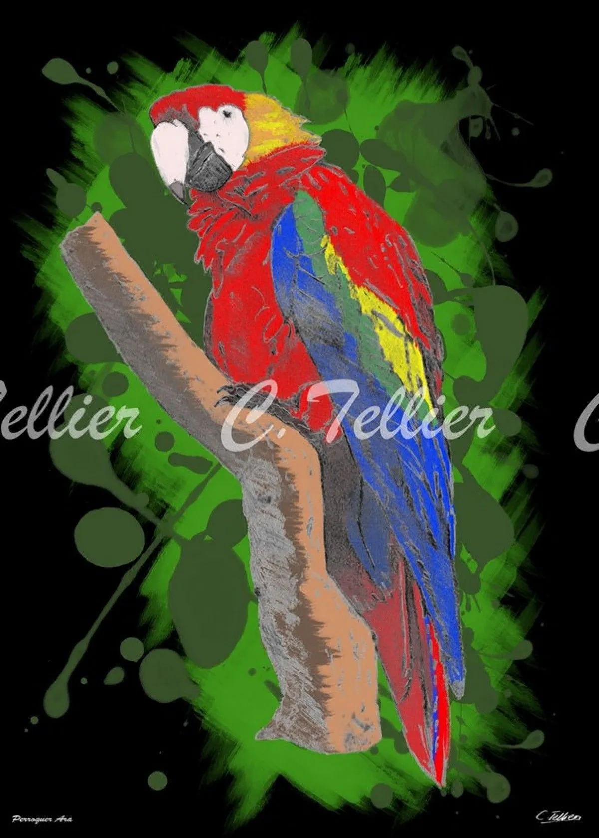 Perroquet Ara, œuvre de Tellier Christophe