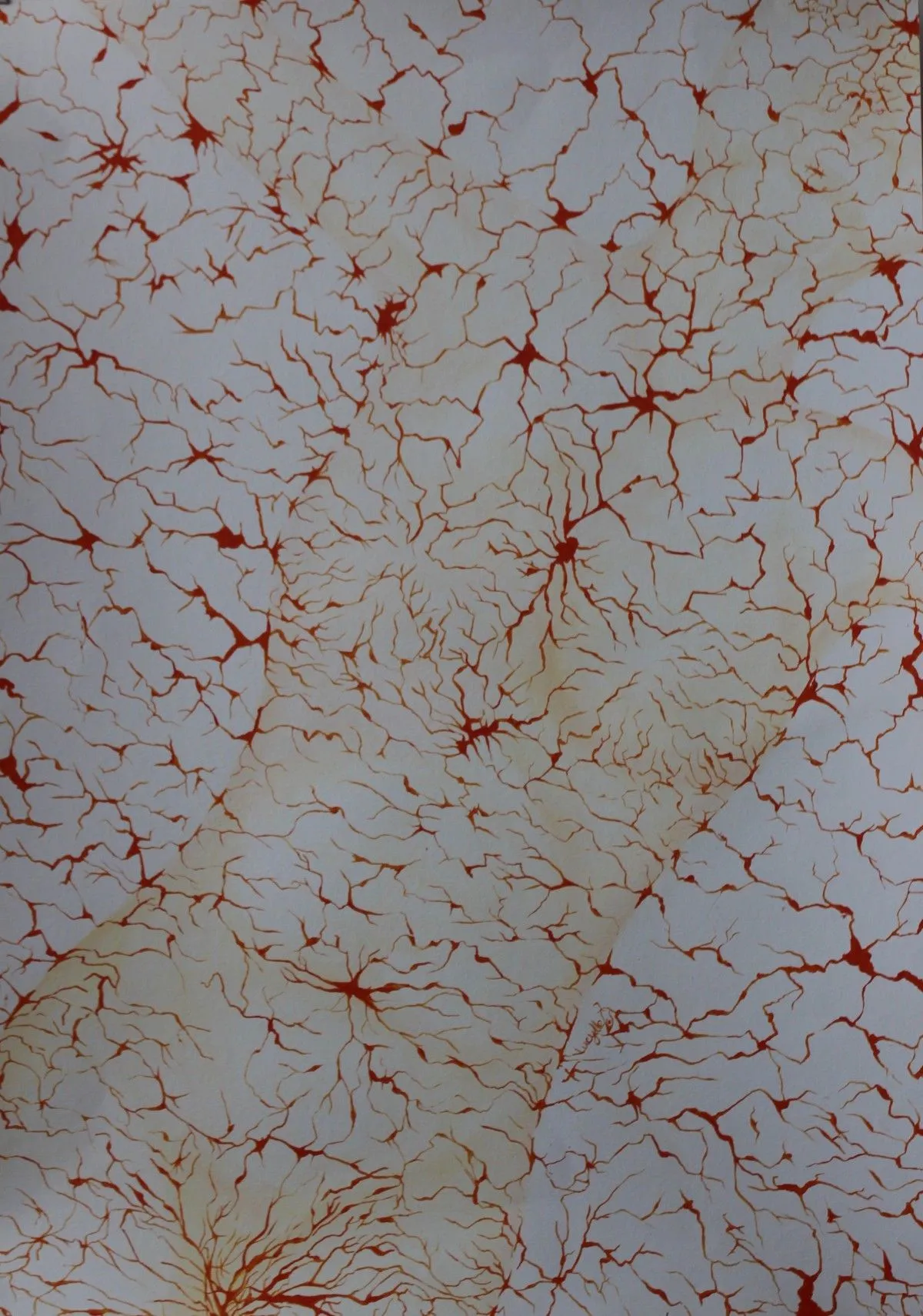 Awakened Spirit, œuvre de Lucylle Dennis