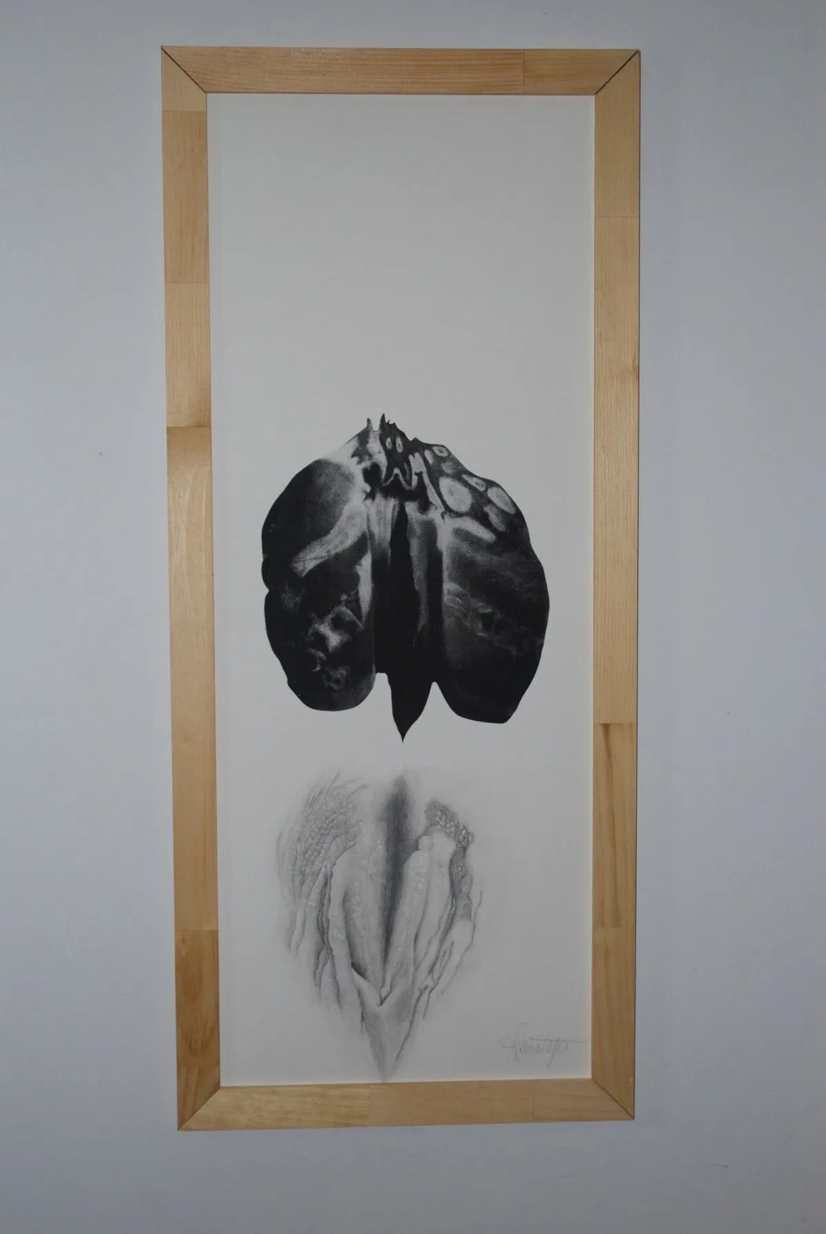 Fruit en fleur, artwork by Amélie Lamontagne