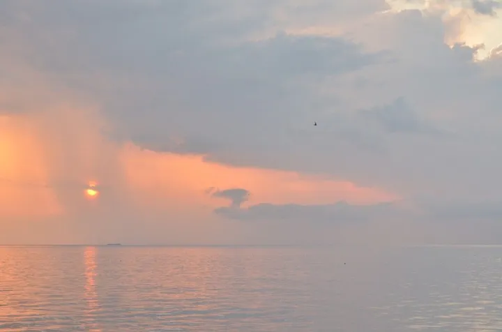 Sunrise at Assateague Island, œuvre de Liz Ashe