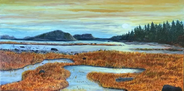 MARAIS DU BIC, artwork by Lise Levesque