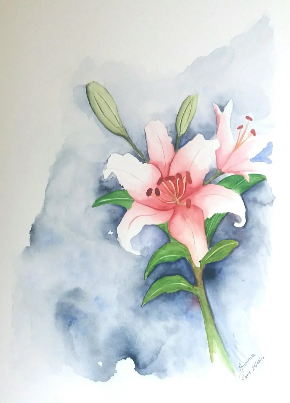 LIRIO DE NOCHE, artwork by Ana V