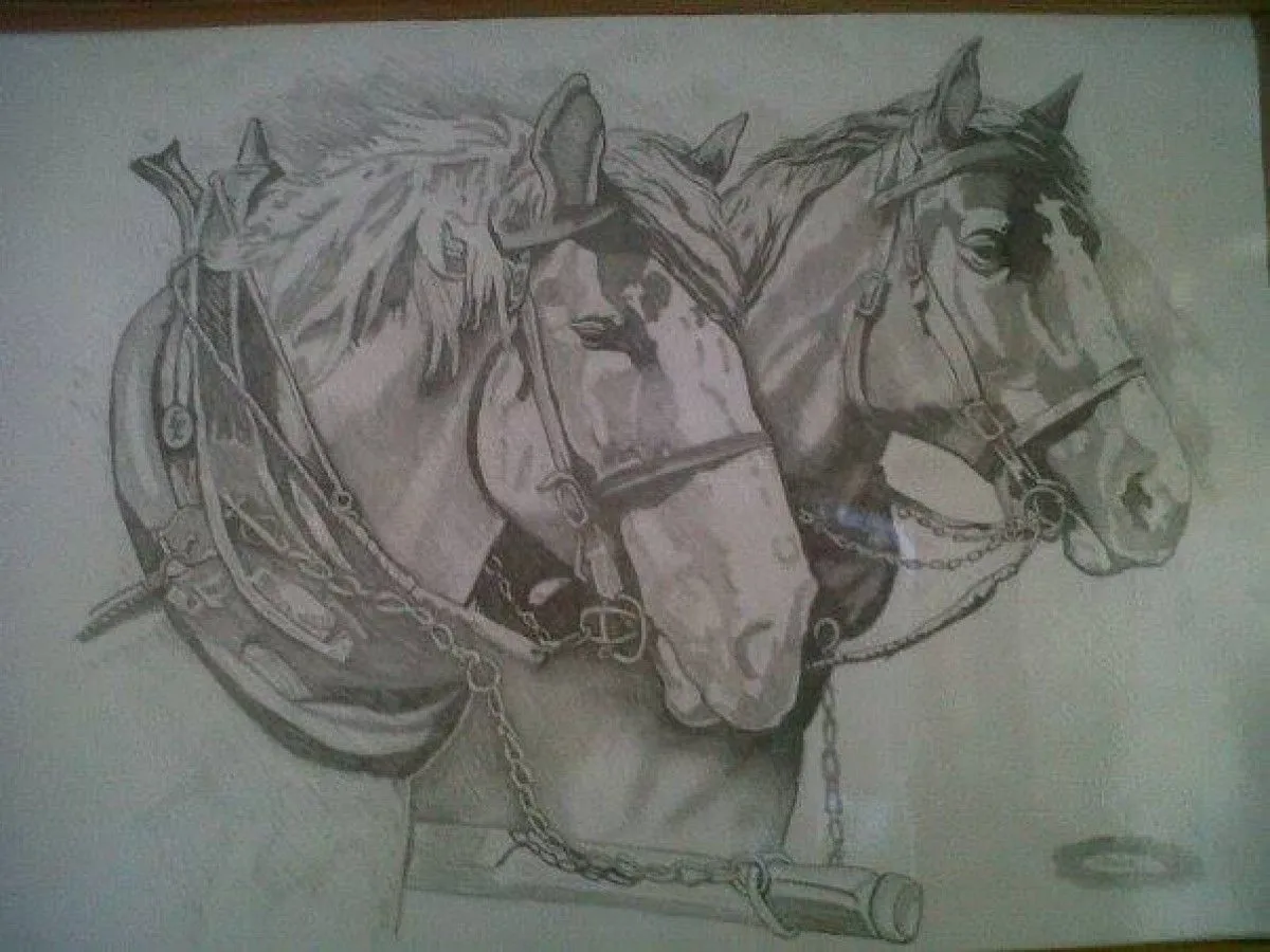 Horses, artwork by Estelle Coetzee
