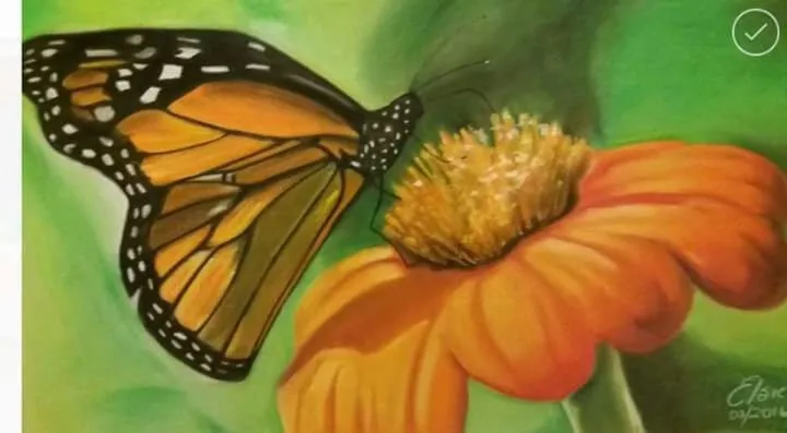 Butterfly on flower, œuvre de Elsie Brummer