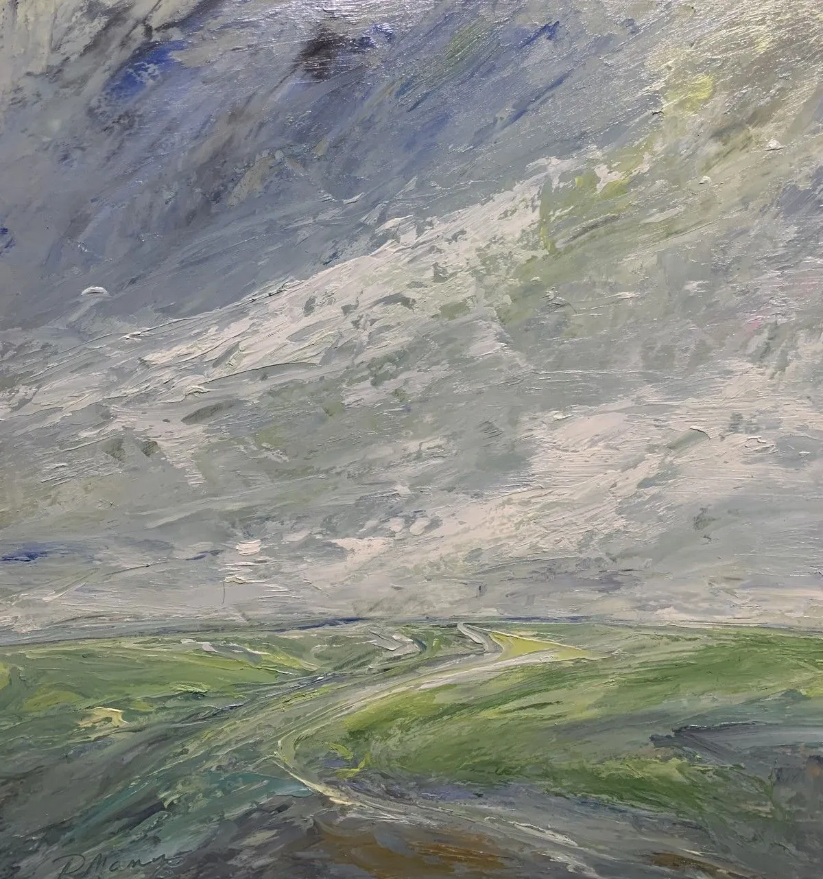 Trail to open skies, œuvre de Rebecca Manns