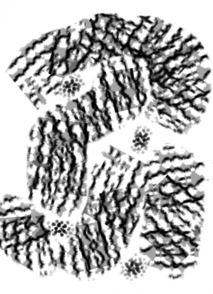 JiPé, artwork by Jacqueline Pinhas