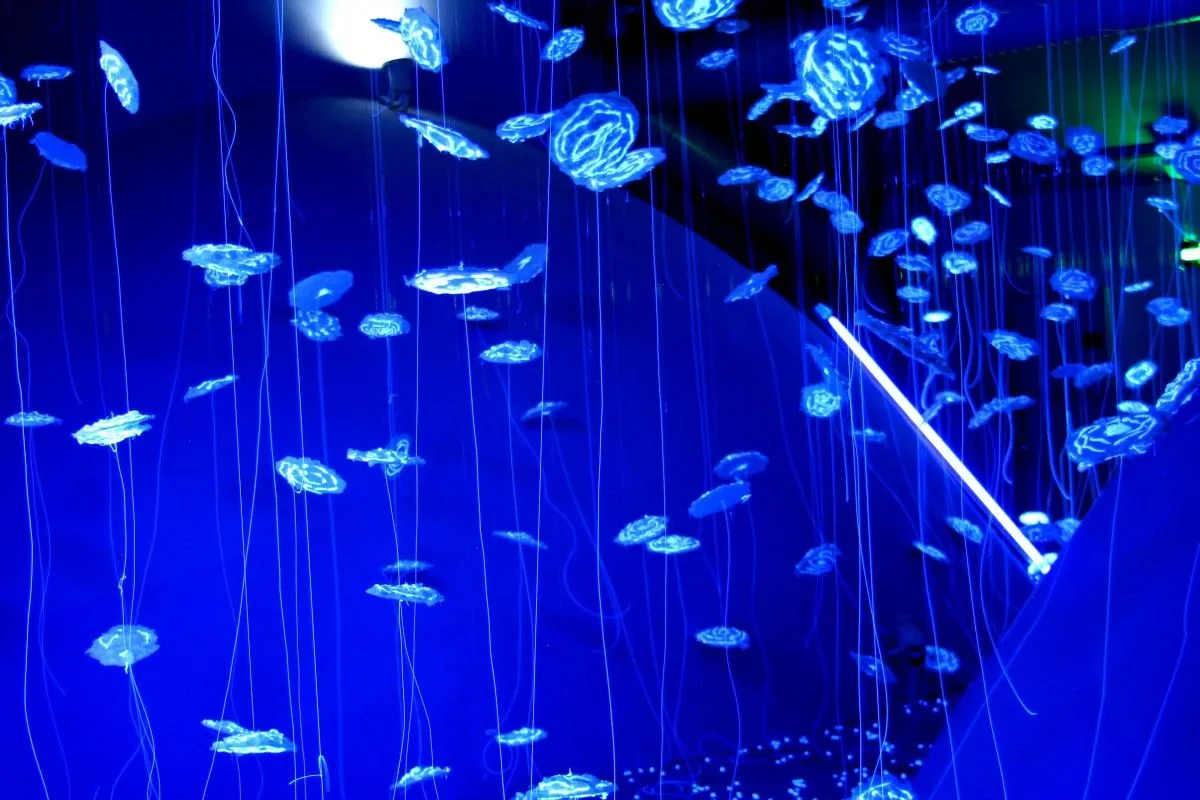 Glowing Blue Installation, artwork by Mila Stoeva