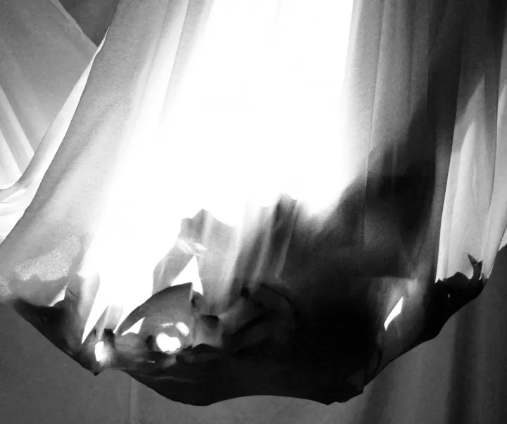 "Una Muerte Informal", œuvre de Adriana Sáenz Tapia