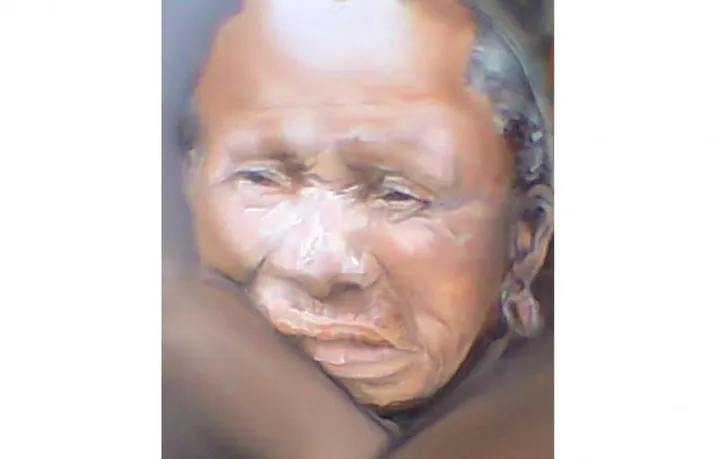 Old Bushman, œuvre de Grant Netherlands