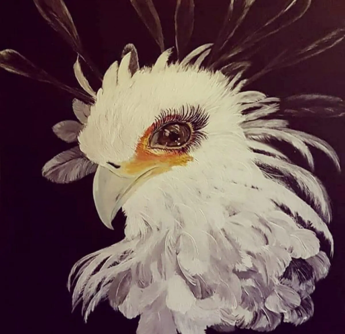 "Serpentaire" Mon bel oiseau..., œuvre de Saouti Mina