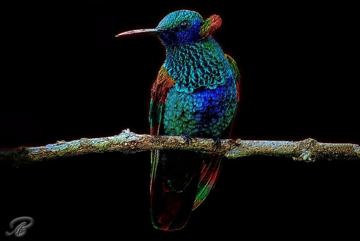 West-indies Jungle, œuvre de B' ART