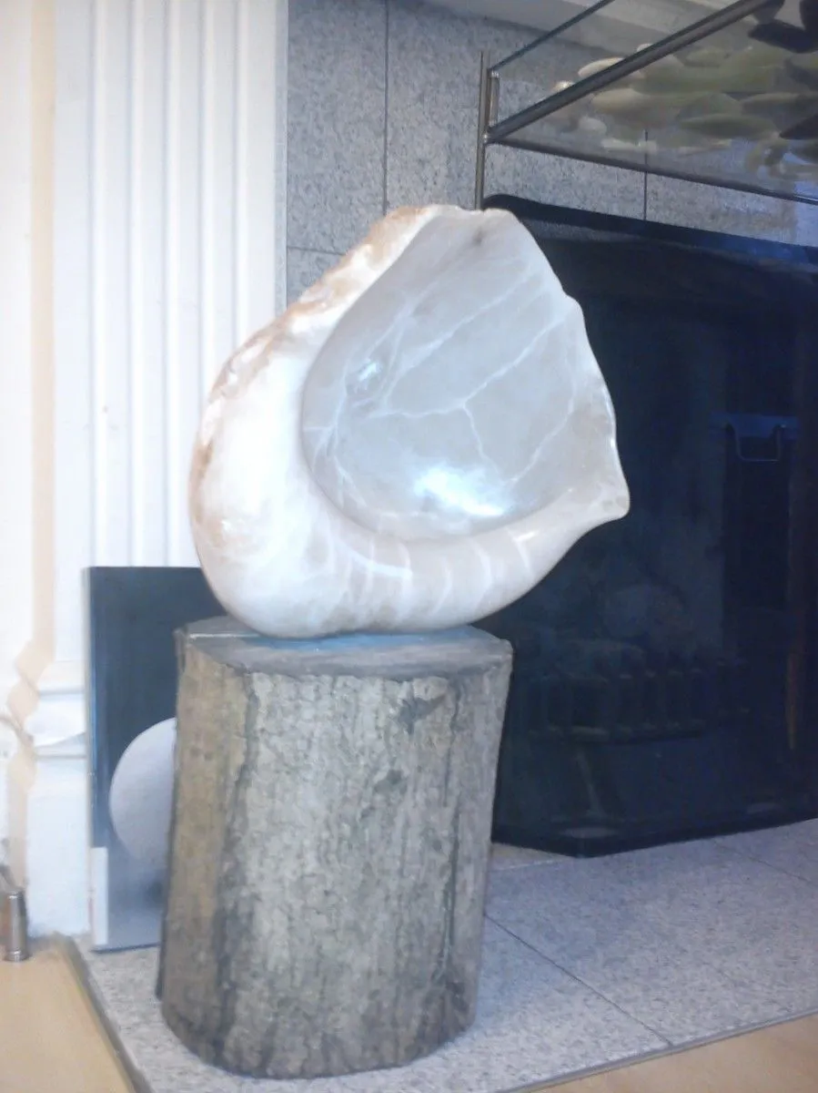Shell, œuvre de Jeanine Bateman
