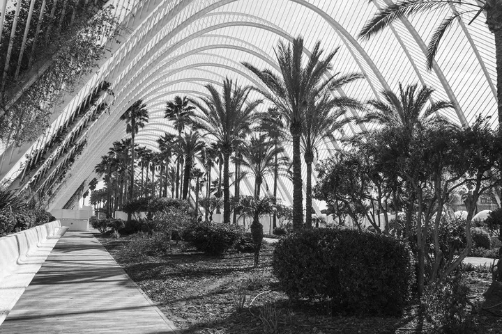 Palms And Arches, œuvre de Dancho Atanasov