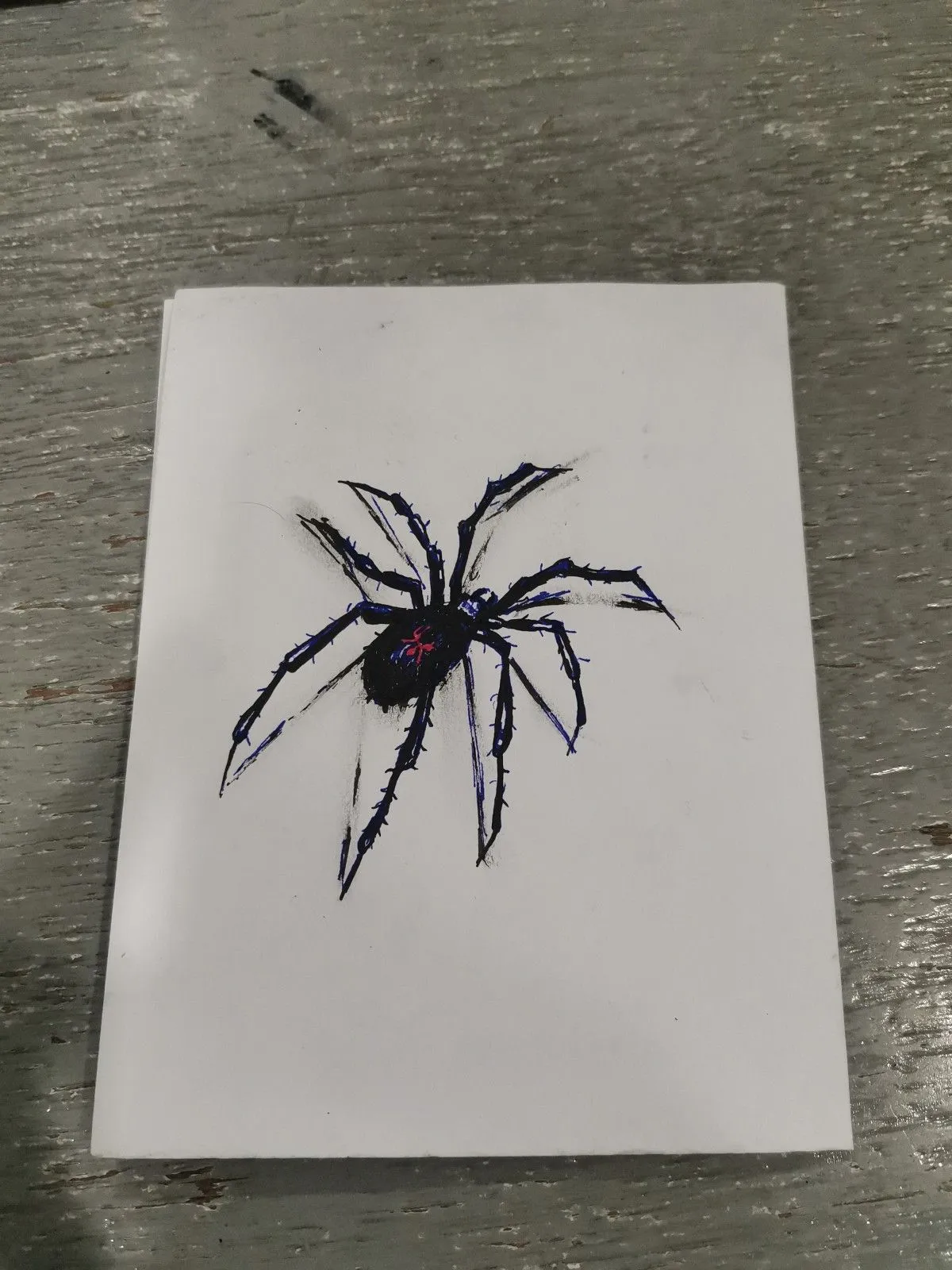 Spider, artwork by Jerriemar Pepania