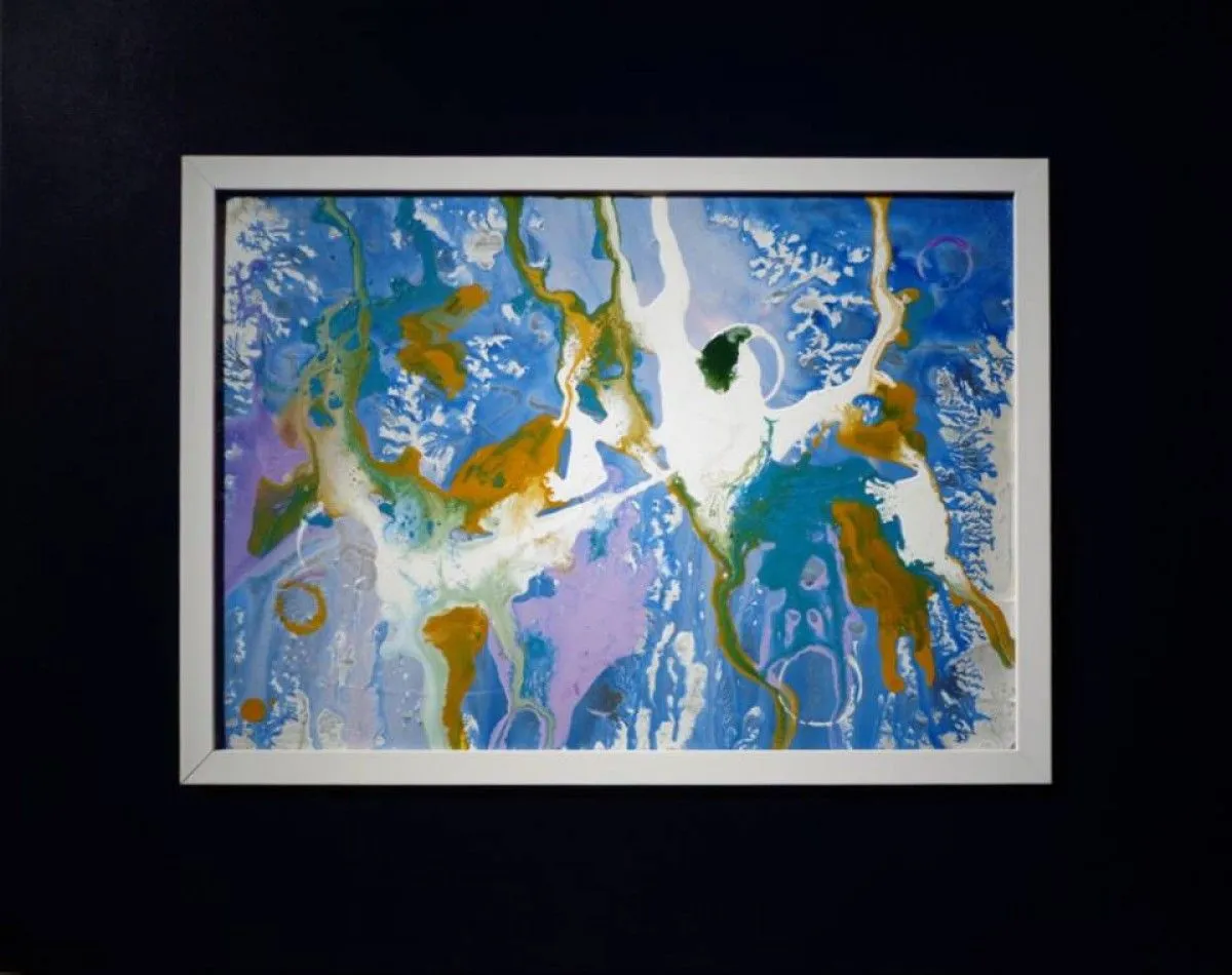 Intergalactic lichens, œuvre de Tânia Maria de Souza