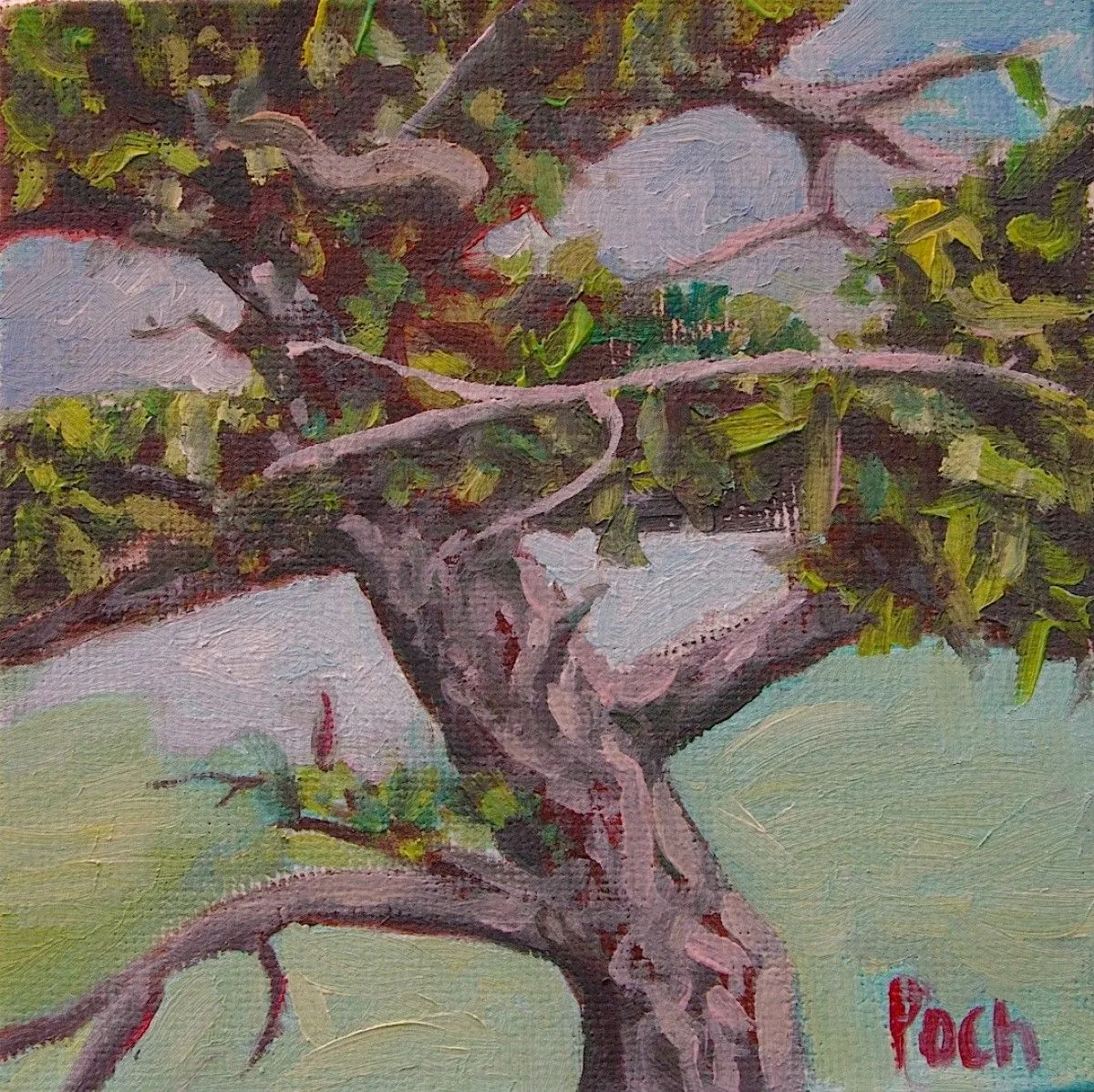 Wind Warrior, artwork by jim poch