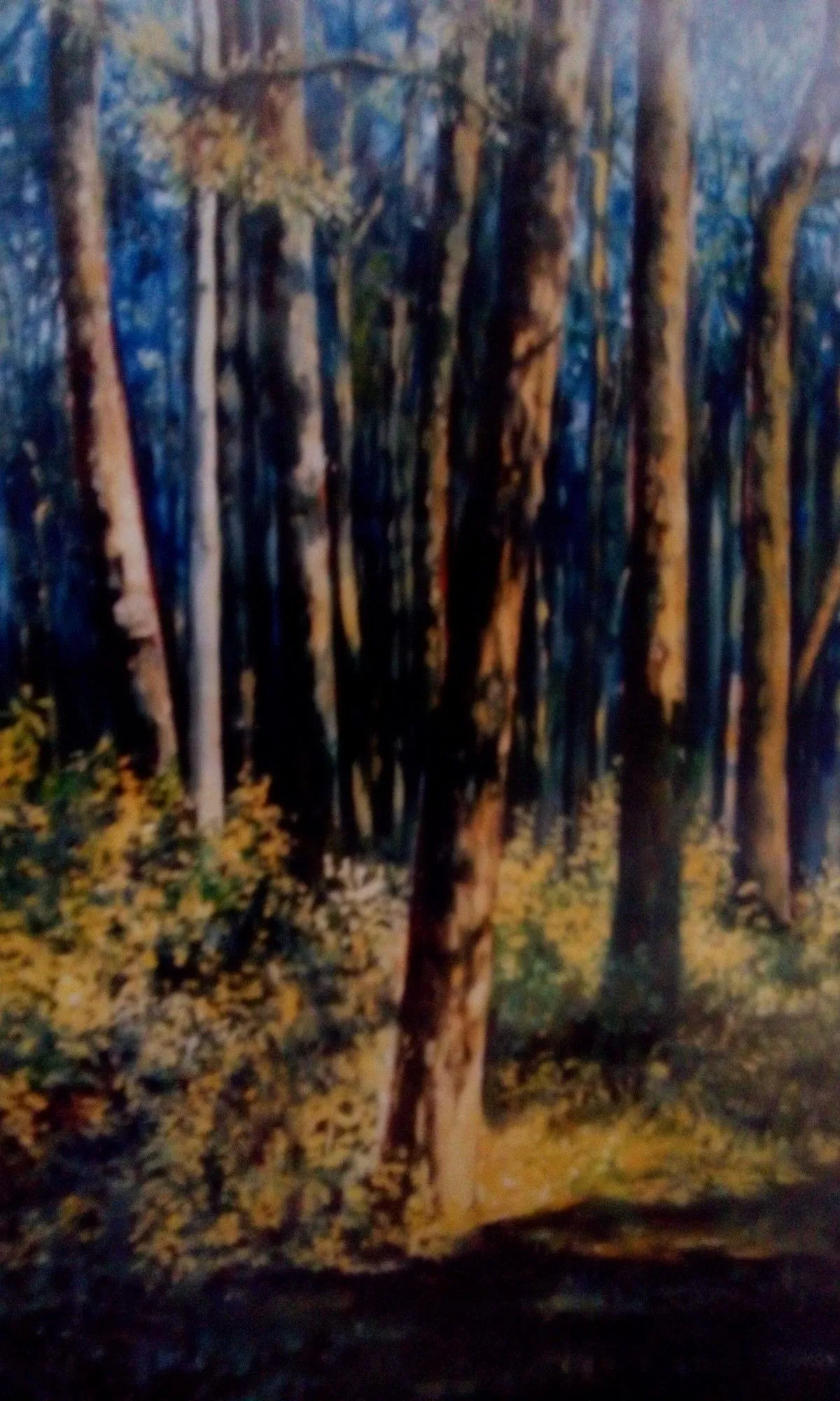 Forest, œuvre de Nitu Bala bala