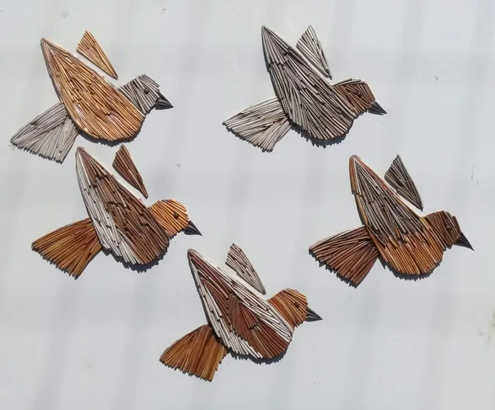 thone workdone, œuvre de mthokozisi schusumba pontshane