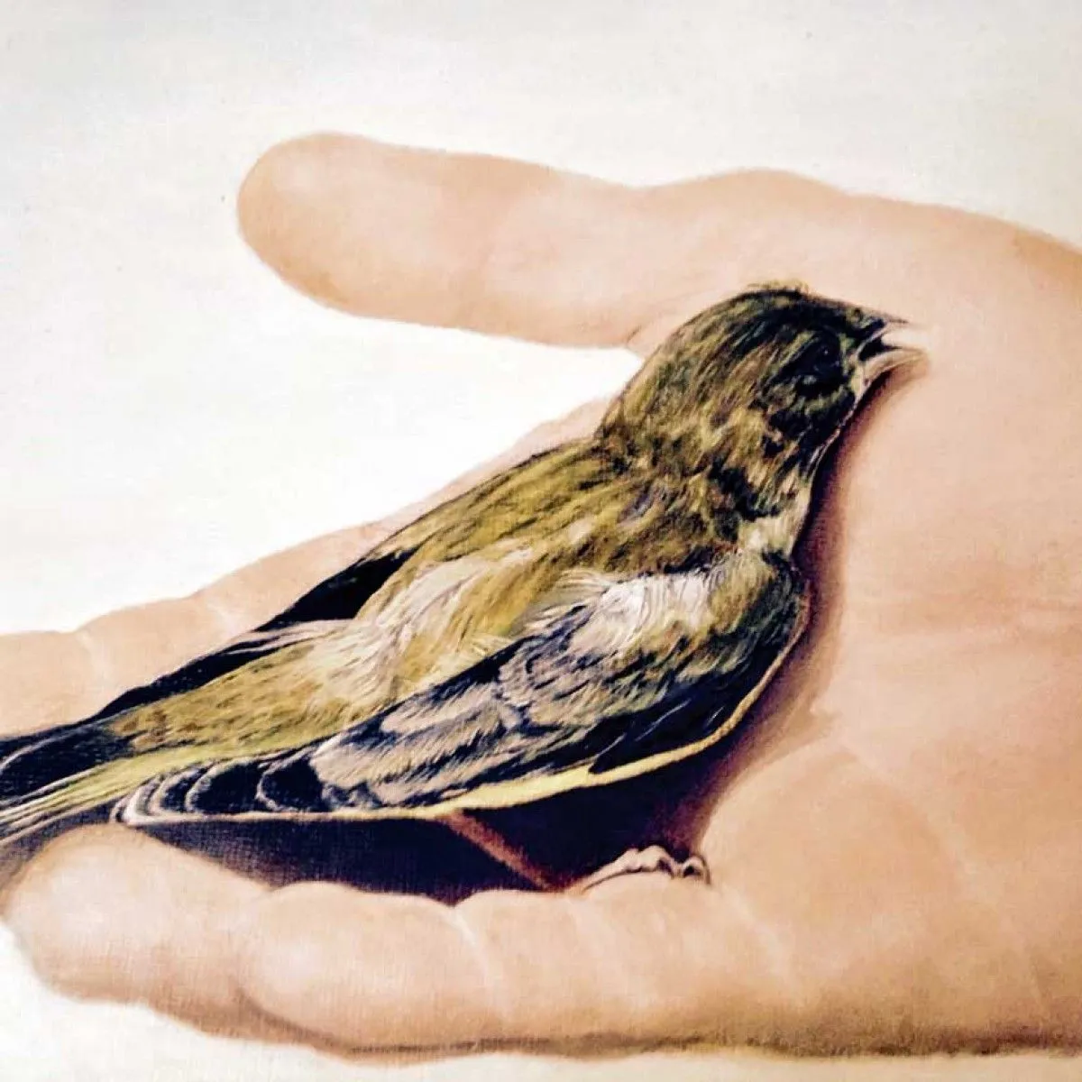 verdier, œuvre de Jacqueline Ropers