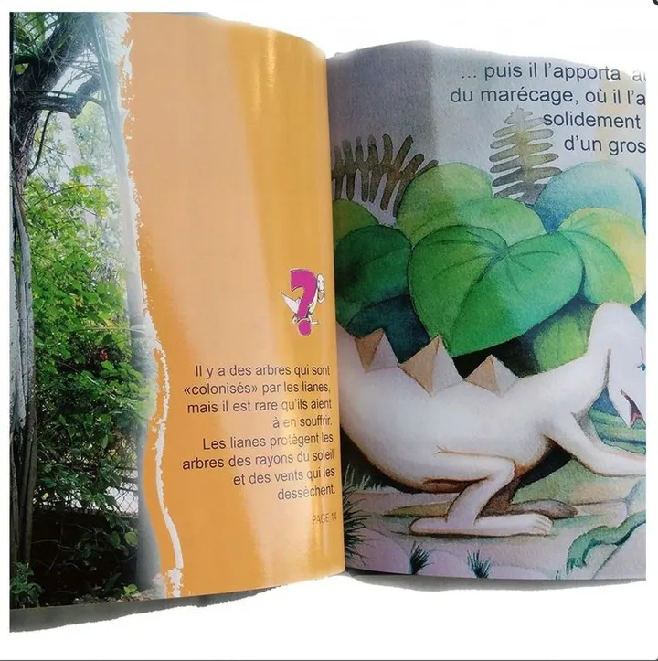 Djembo Fleur n° 2 - pages intérieures n° 2 - inside pages n 2, œuvre de Jean Bessat