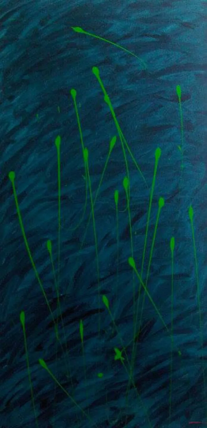 Ovoides, œuvre de adel mhadhebi