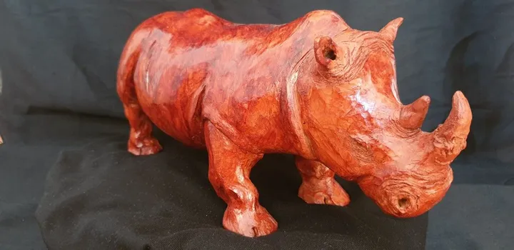 Monsieur Rhino, œuvre de Kooki BR