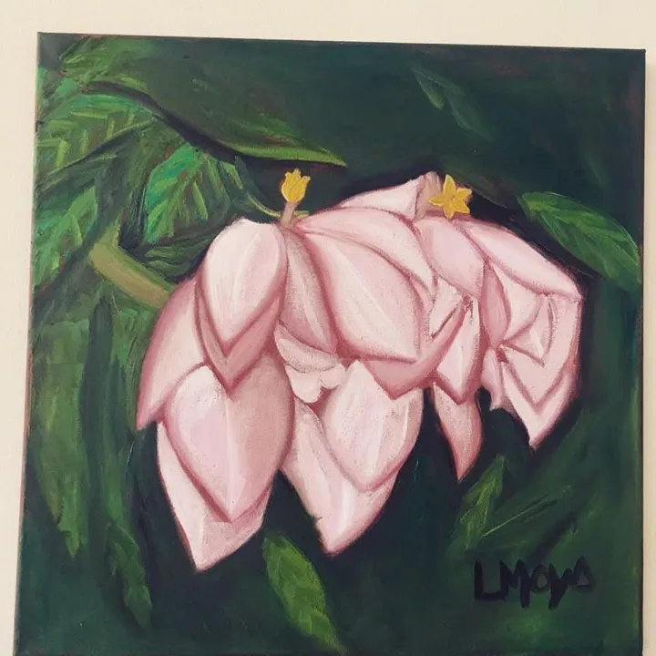 Musaenda, artwork by Ligia Moya