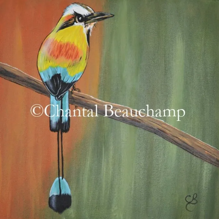 Motmot à sourcil bleu, artwork by Chantal Bochamp