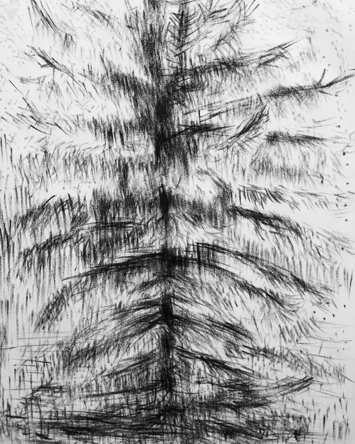 Jack Pine, artwork by Gabriel Bouffard