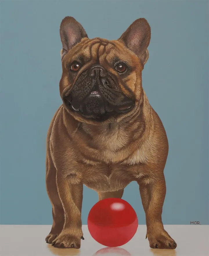Just try to touch my new ball, artwork by Dietrich Moravec