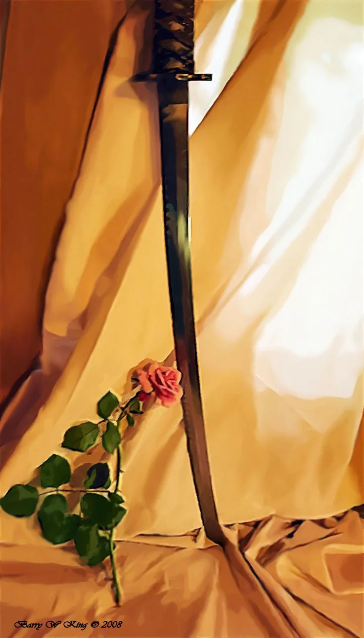 saber and the rose, œuvre de barry king