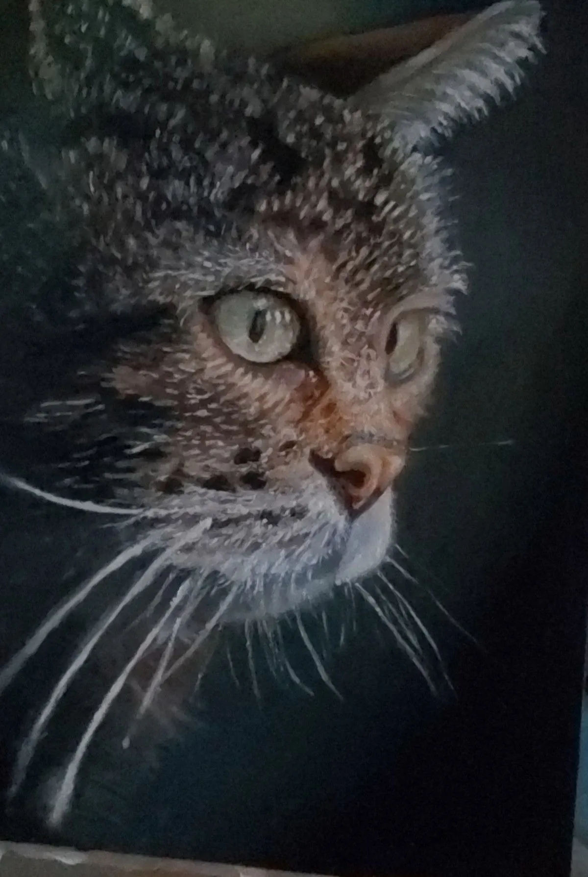 The  cat, artwork by James Alexander