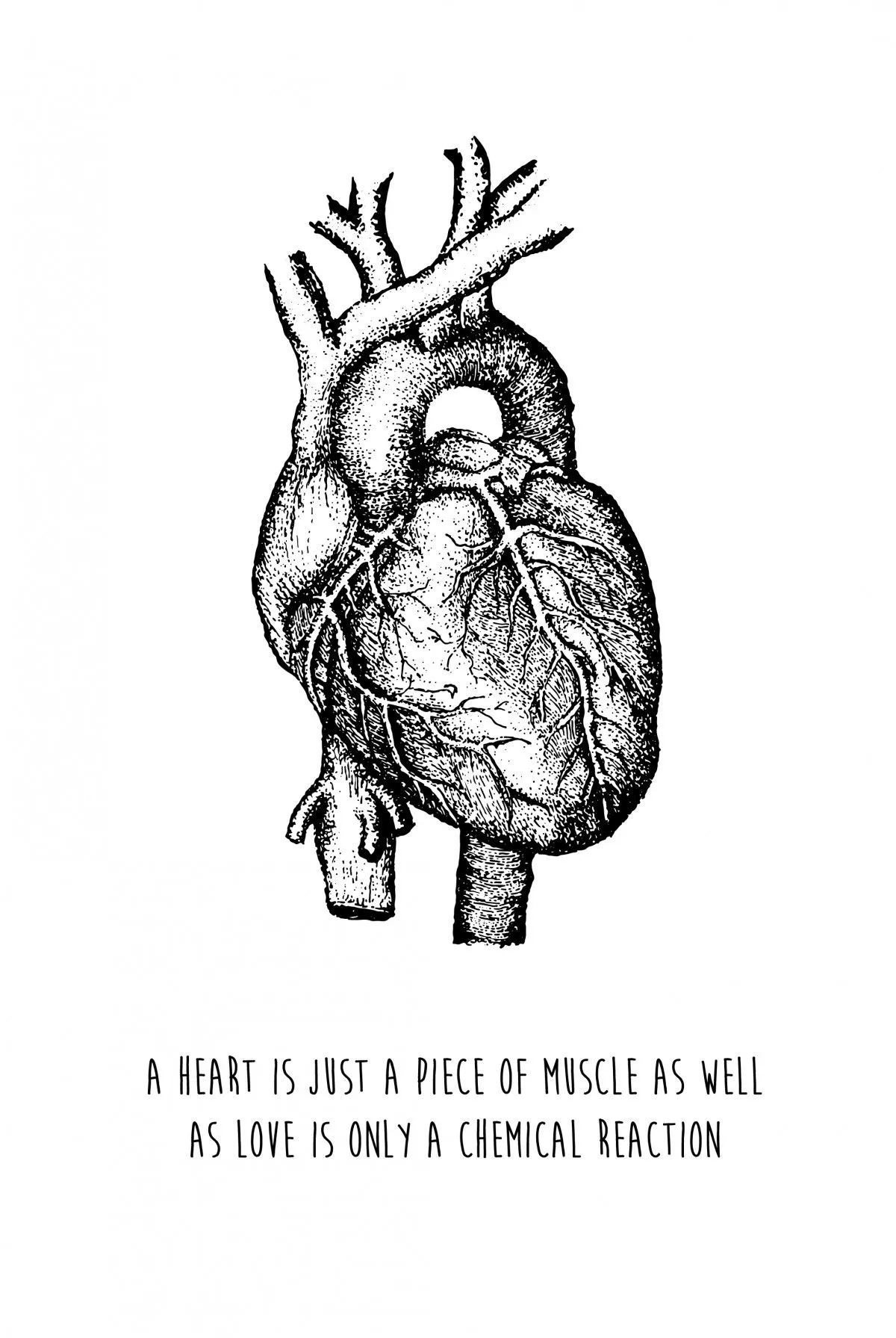 Human heart, œuvre de Kay Ryan
