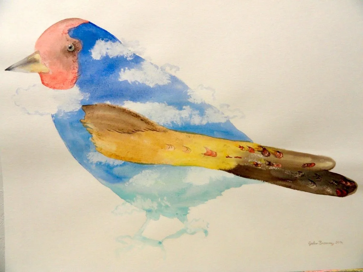 "Cloud-Bird", œuvre de Gabor Breznay