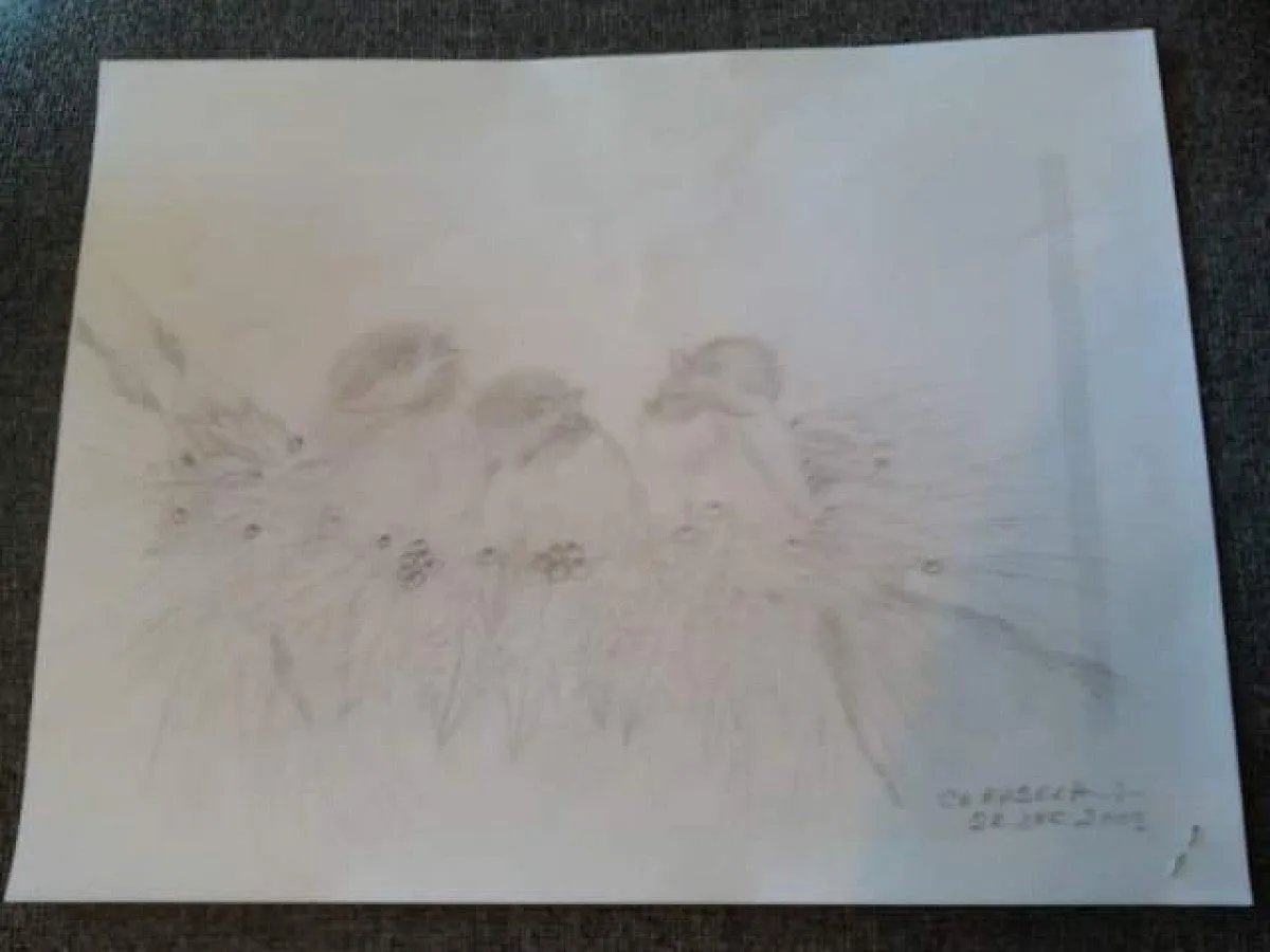 Swallows, œuvre de Cerasela Ciobanu