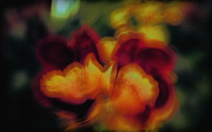 in my planet there are electrical flowers floating in the air, absorbing the energy from the aether III, œuvre de David de la Luz