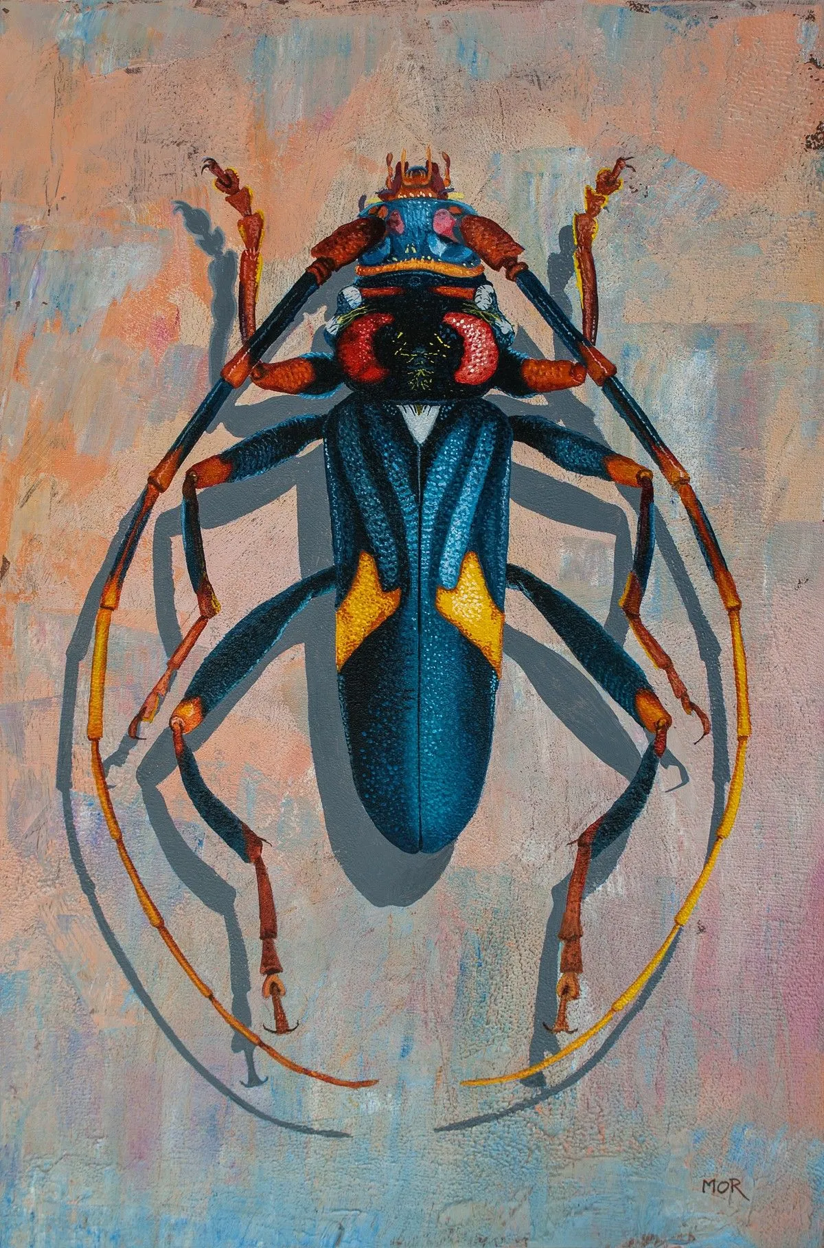 Compsomera Elegantissima, artwork by Dietrich Moravec
