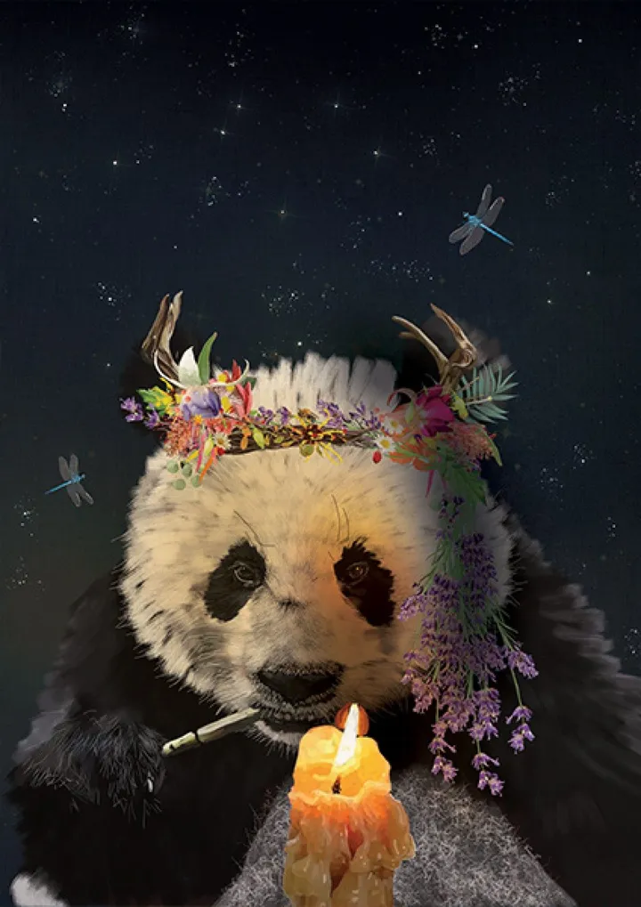 Pondering Panda, œuvre de Karin Roberts