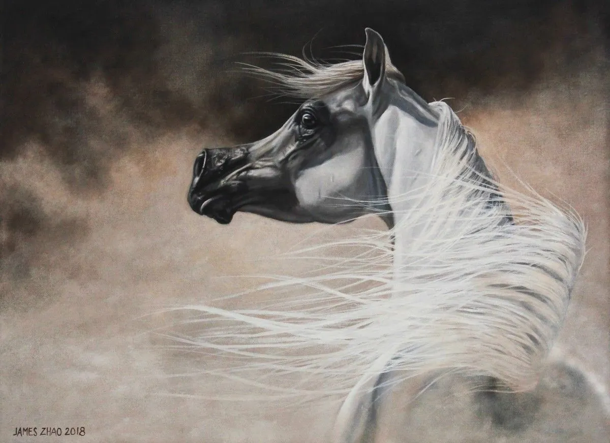 The Desert Lightning, œuvre de James Zhao