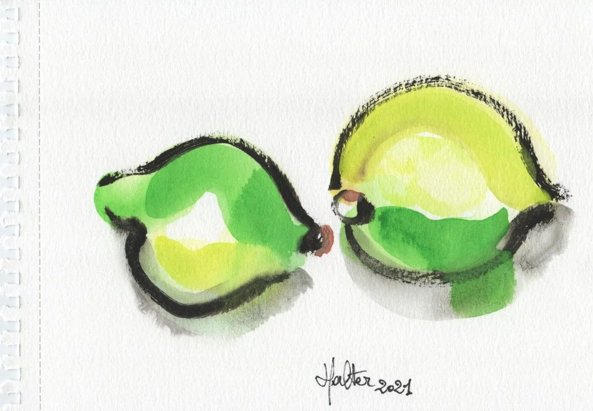 Citrons verts, artwork by Alain HALTER