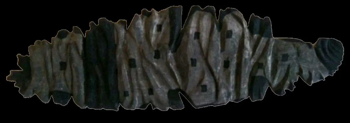 as fish, œuvre de A. Cem Purtul